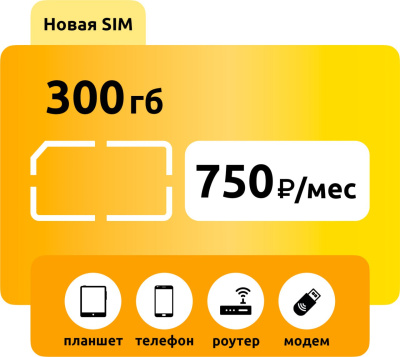 Тариф Билайн 300 ГБ 750 (только Почта РФ): купить с доставкой по России в интернет-магазине